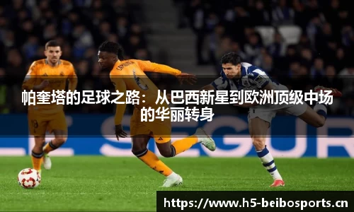 bb贝博体育官方网站
