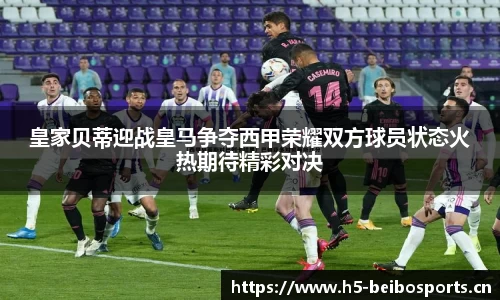 bb贝博体育官网